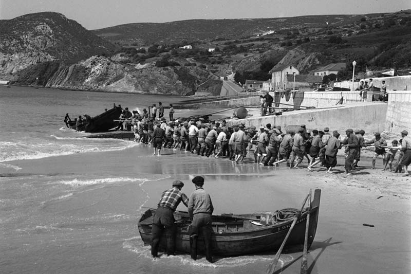 Restaurantes Sesimbra pesca 2