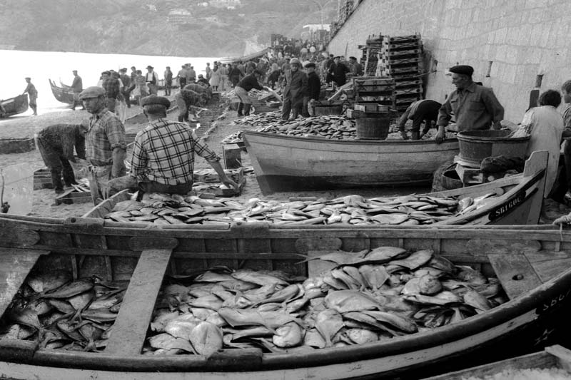 Restaurantes Sesimbra peixes